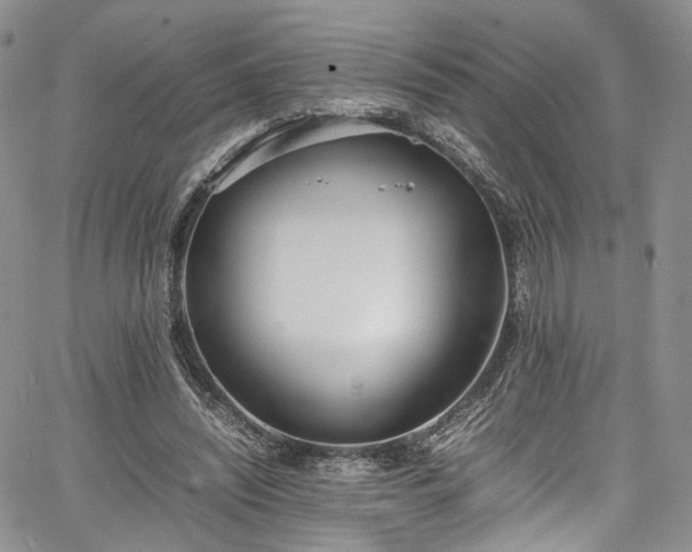 X0000067950444200604201435