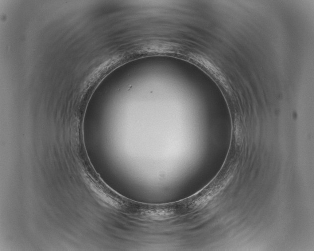 X0000067950445200604201435