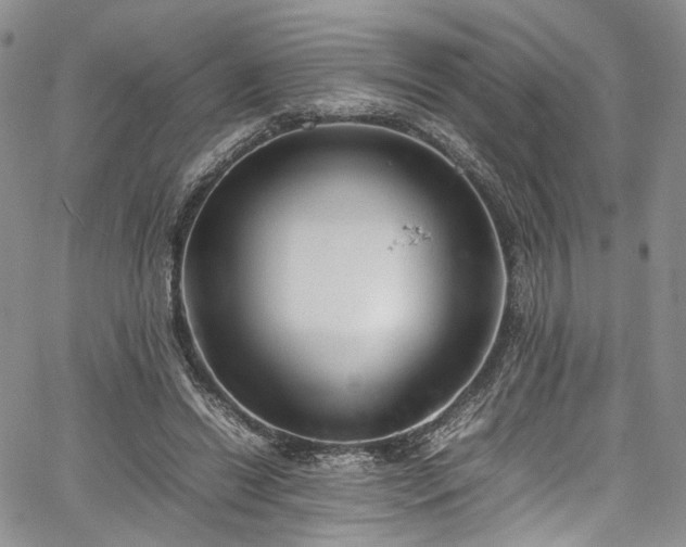 X0000067950446200604201435