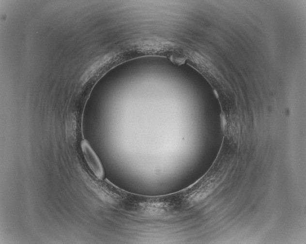 X0000067950448200604201435