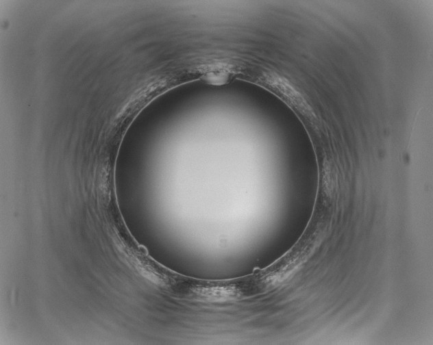 X0000067950449200604201435