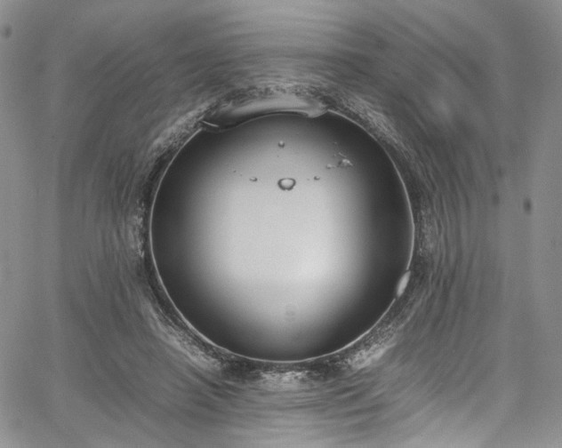 X0000067950450200604201435