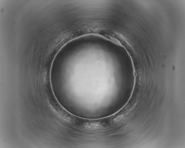 X0000067950451200604201435