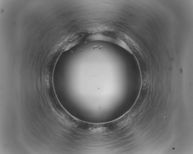 X0000067950452200604201435