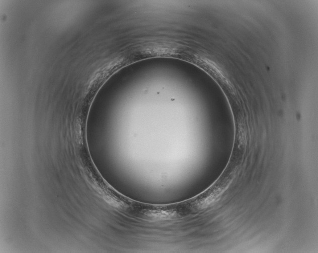 X0000067950453200604201435