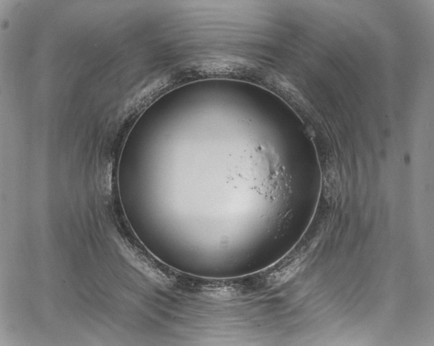 X0000067950454200604201435