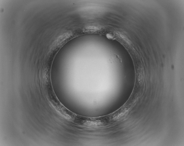 X0000067950455200604201435