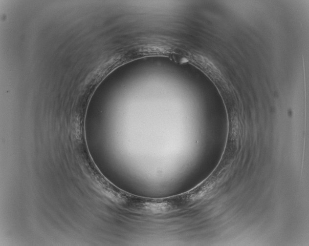 X0000067950457200604201435