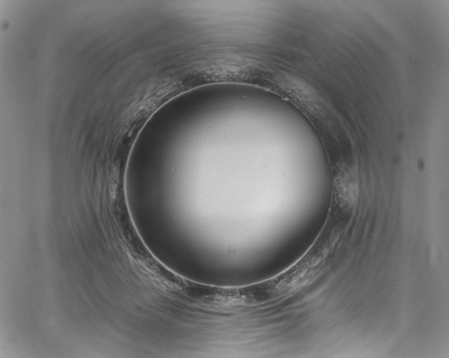 X0000067950458200604201435