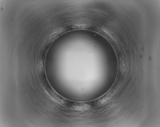 X0000067950459200604201435