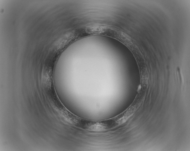 X0000067950460200604201435