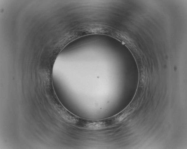 X0000067950461200604201435