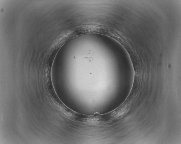 X0000067950462200604201435