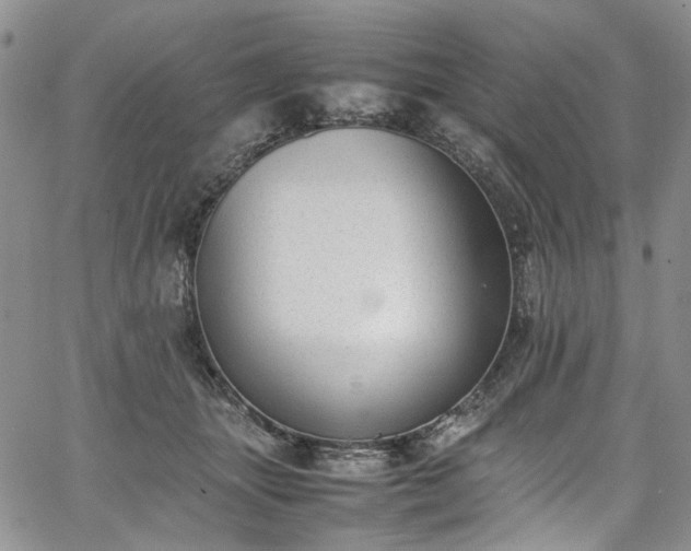 X0000067950463200604201435