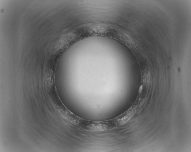 X0000067950464200604201435