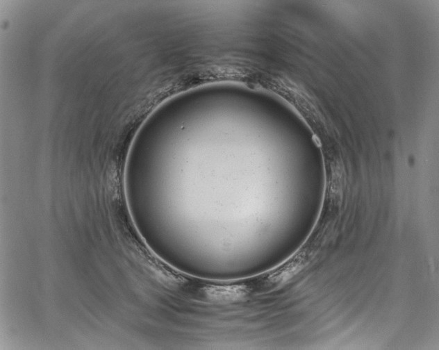 X0000067950465200604201435