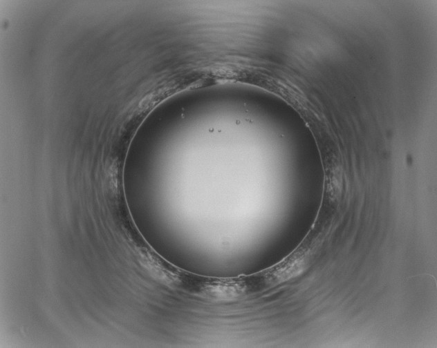 X0000067950466200604201435