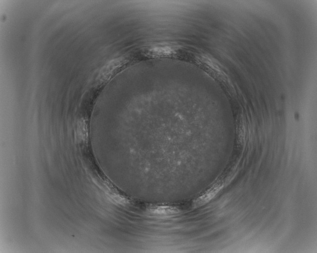 X0000067950467200604201435