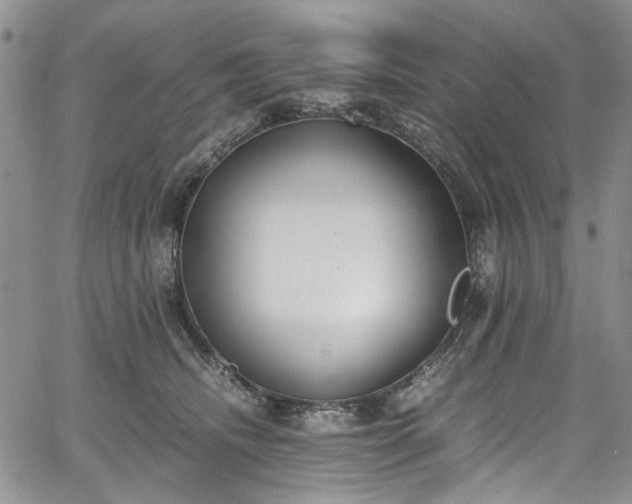 X0000067950468200604201436