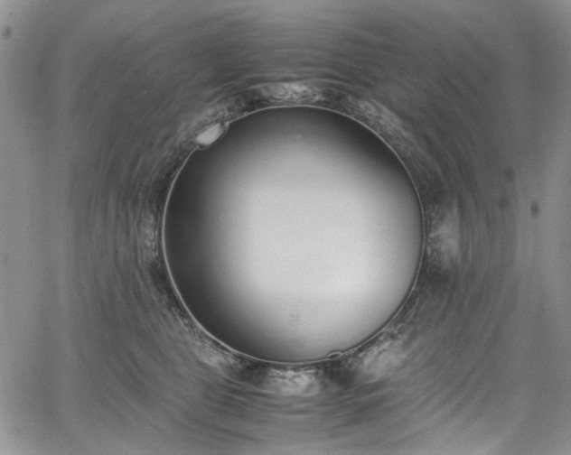 X0000067950469200604201436