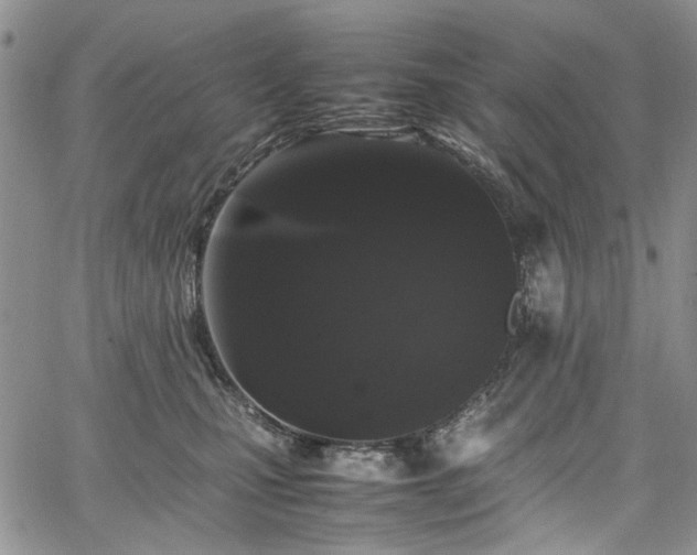 X0000067950471200604201436