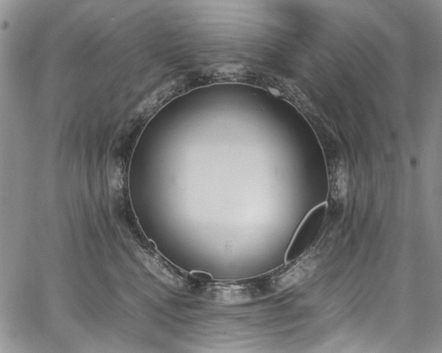 X0000067950472200604201436