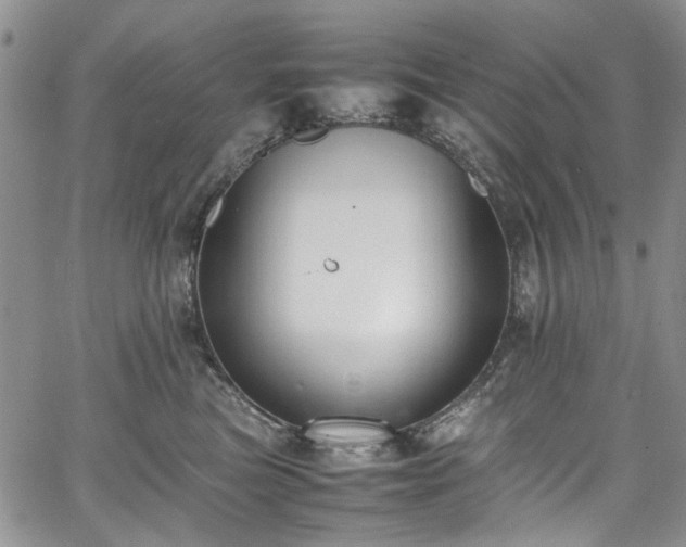 X0000067950473200604201436