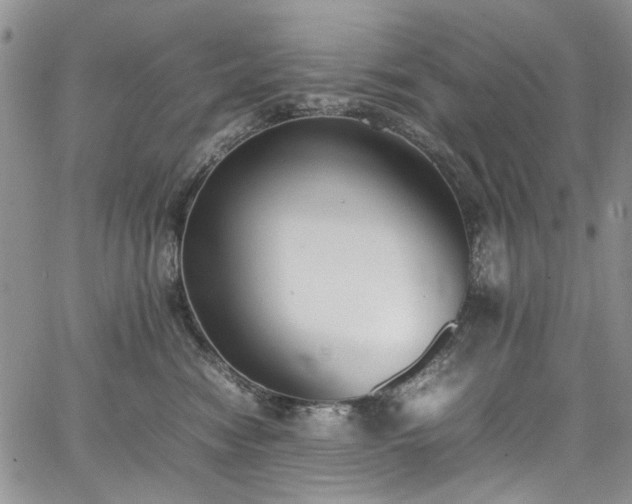 X0000067950474200604201436