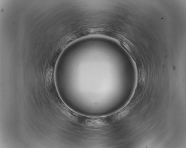 X0000067950475200604201436