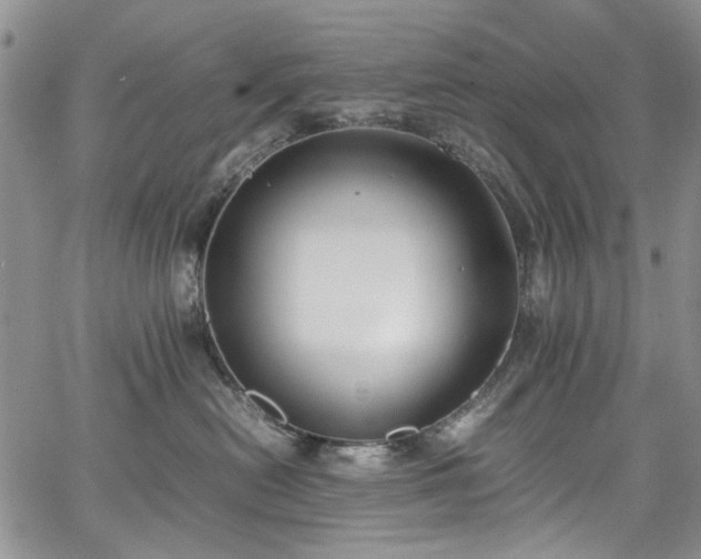 X0000067950478200604201436