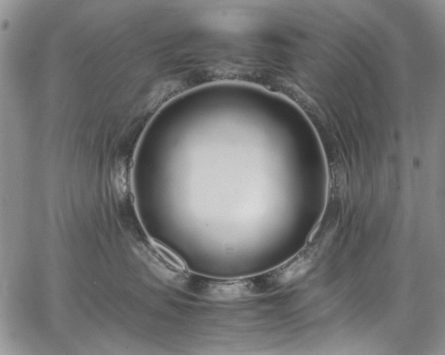 X0000067950479200604201436