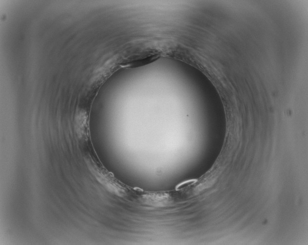 X0000067950480200604201436