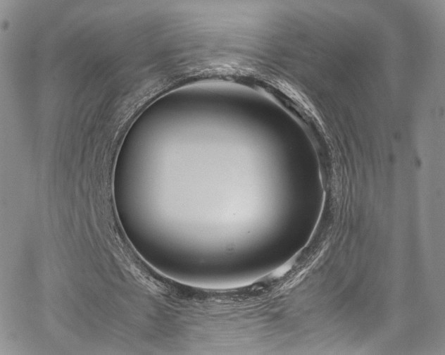 X0000067950481200604201435