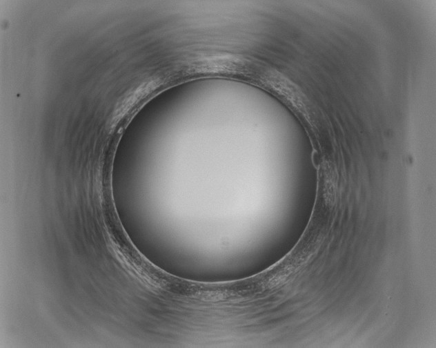 X0000067950482200604201435