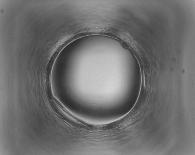 X0000067950483200604201435