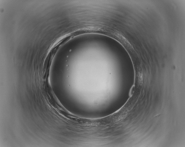 X0000067950484200604201435