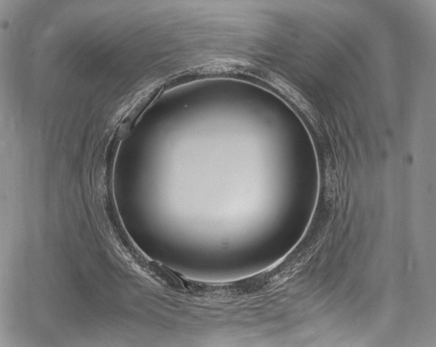 X0000067950485200604201435