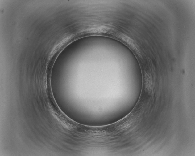 X0000067950486200604201435