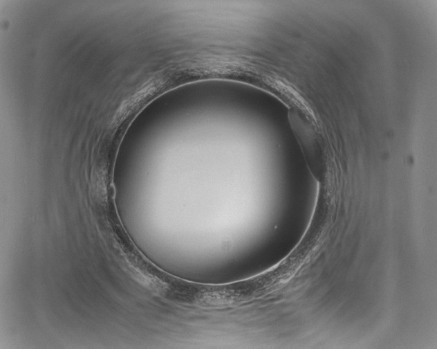 X0000067950489200604201435