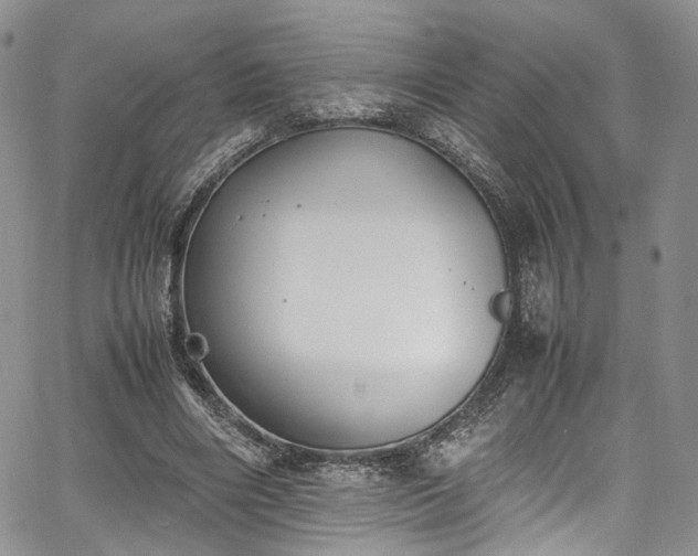 X0000067950490200604201435