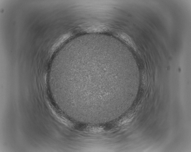 X0000067950491200604201435