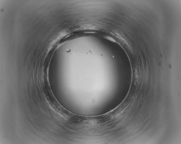 X0000067950492200604201435