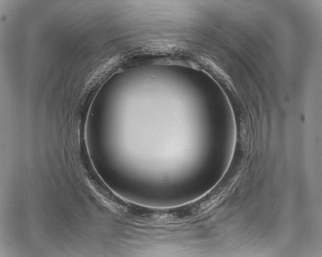 X0000067950493200604201435