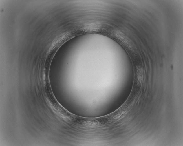 X0000067950494200604201435