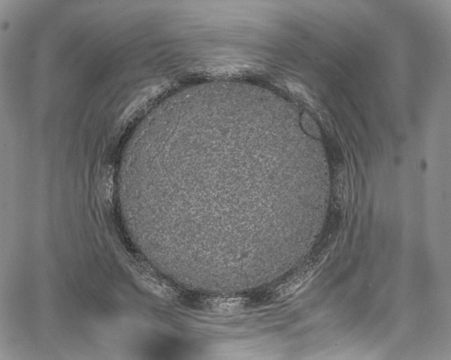 X0000067950495200604201435