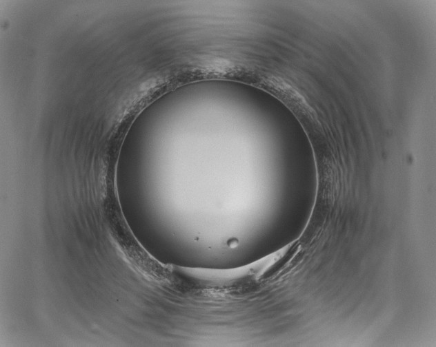 X0000067950496200604201435