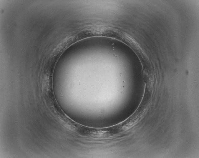 X0000067950497200604201435