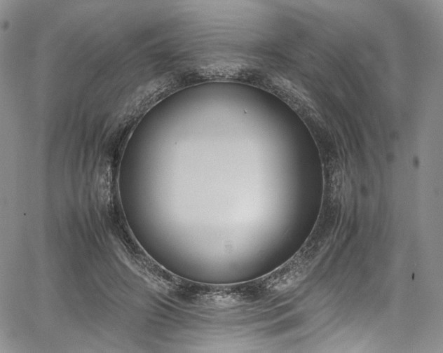 X0000067950498200604201435