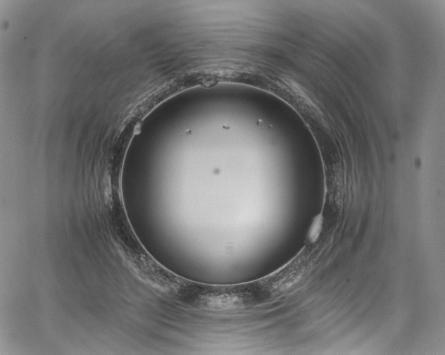 X0000067950500200604201435