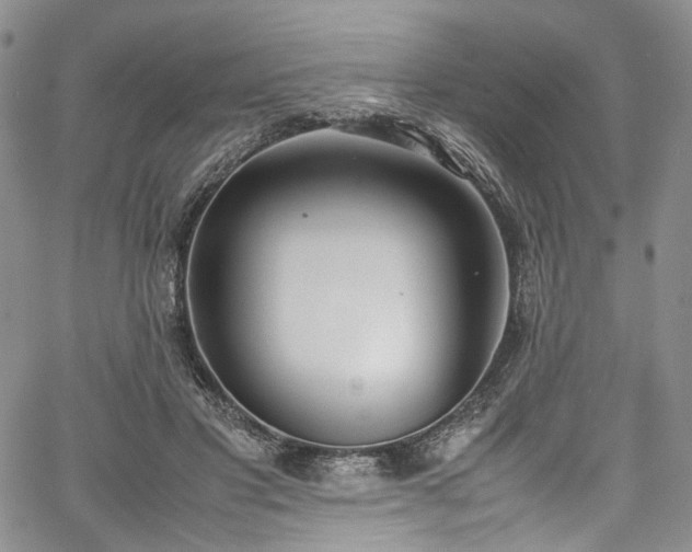 X0000067950501200604201435